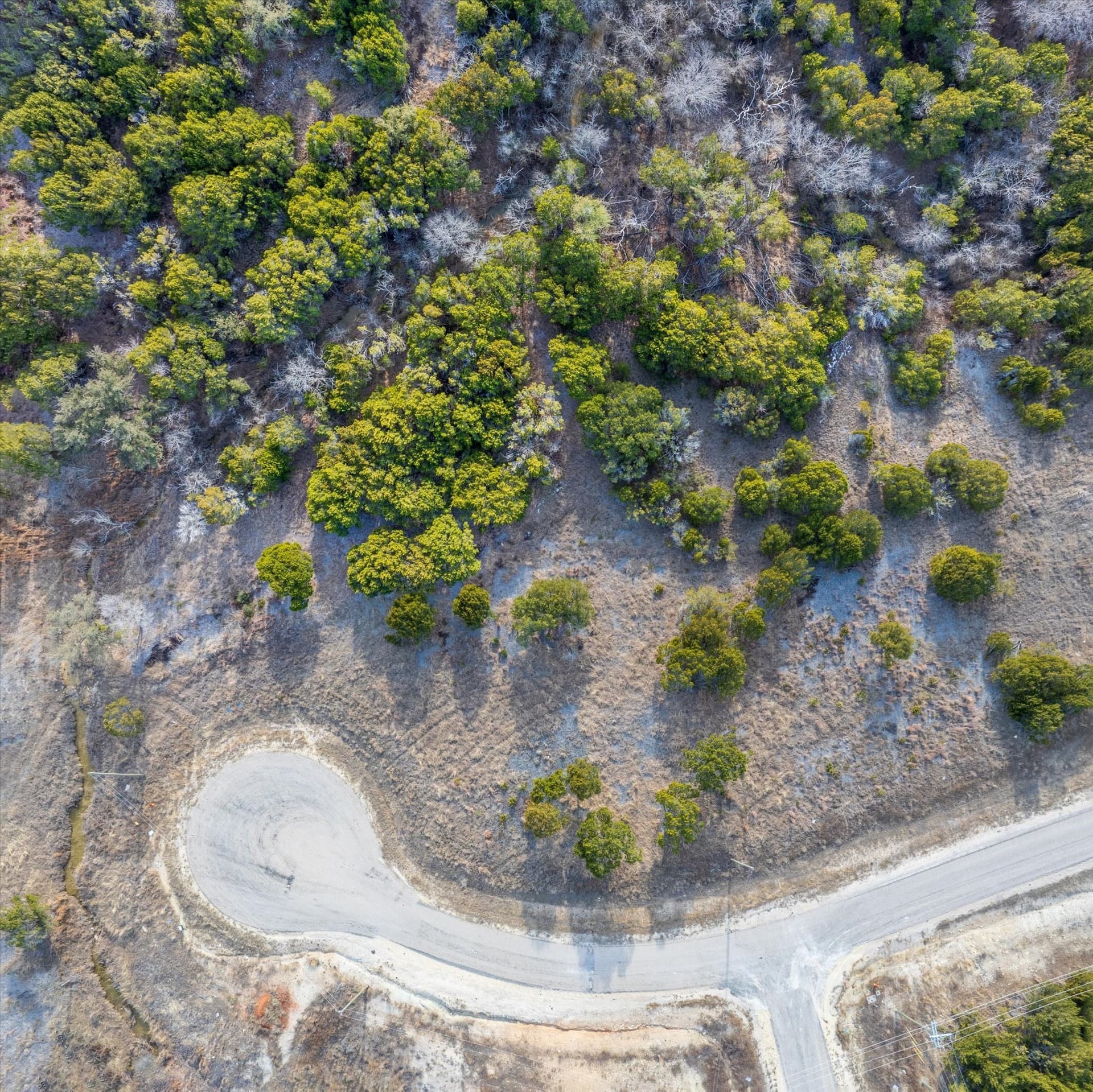 1.74 acres in Somervell County gallery image 2