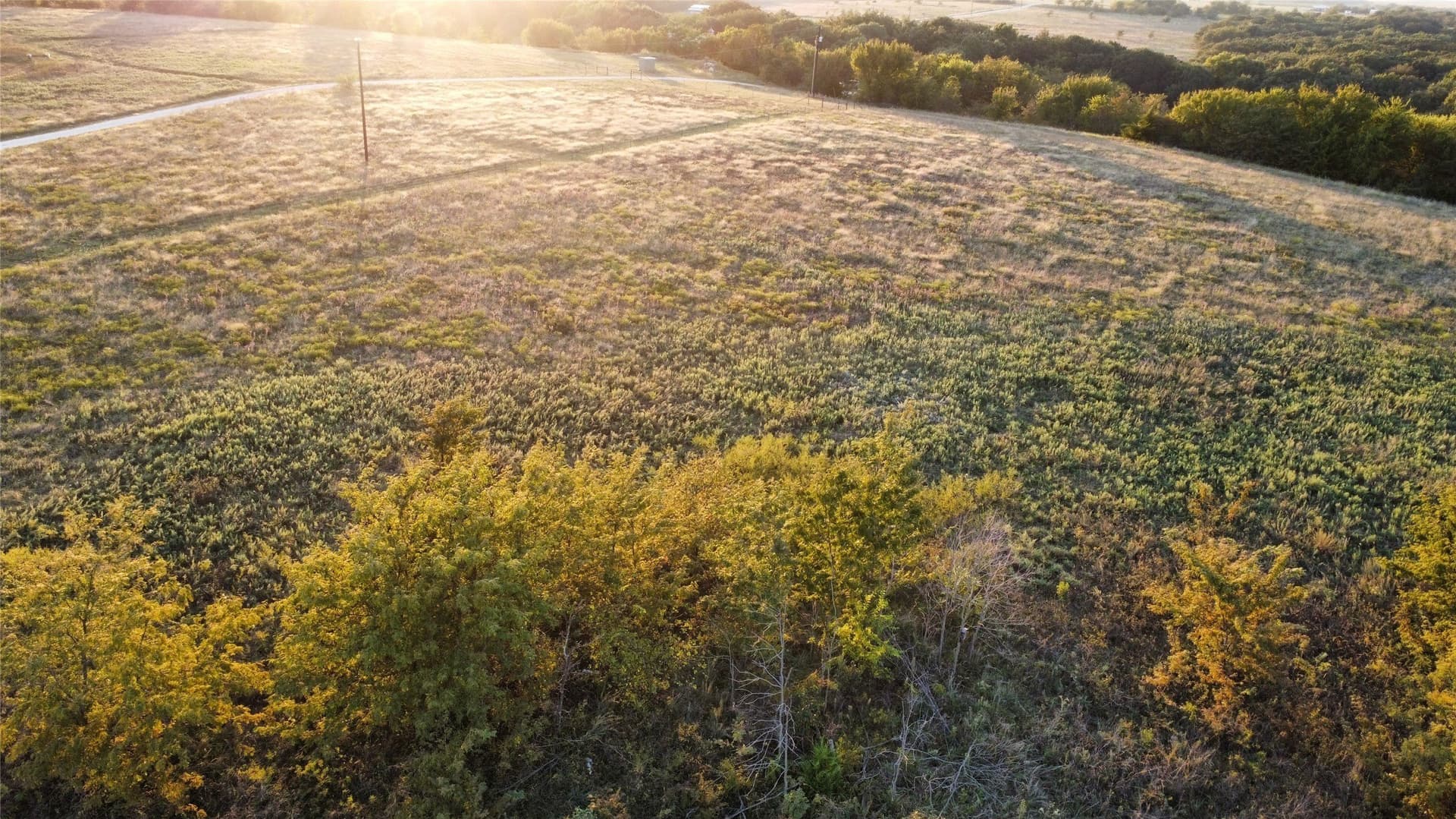 10.03 acres in Montague County gallery image 3