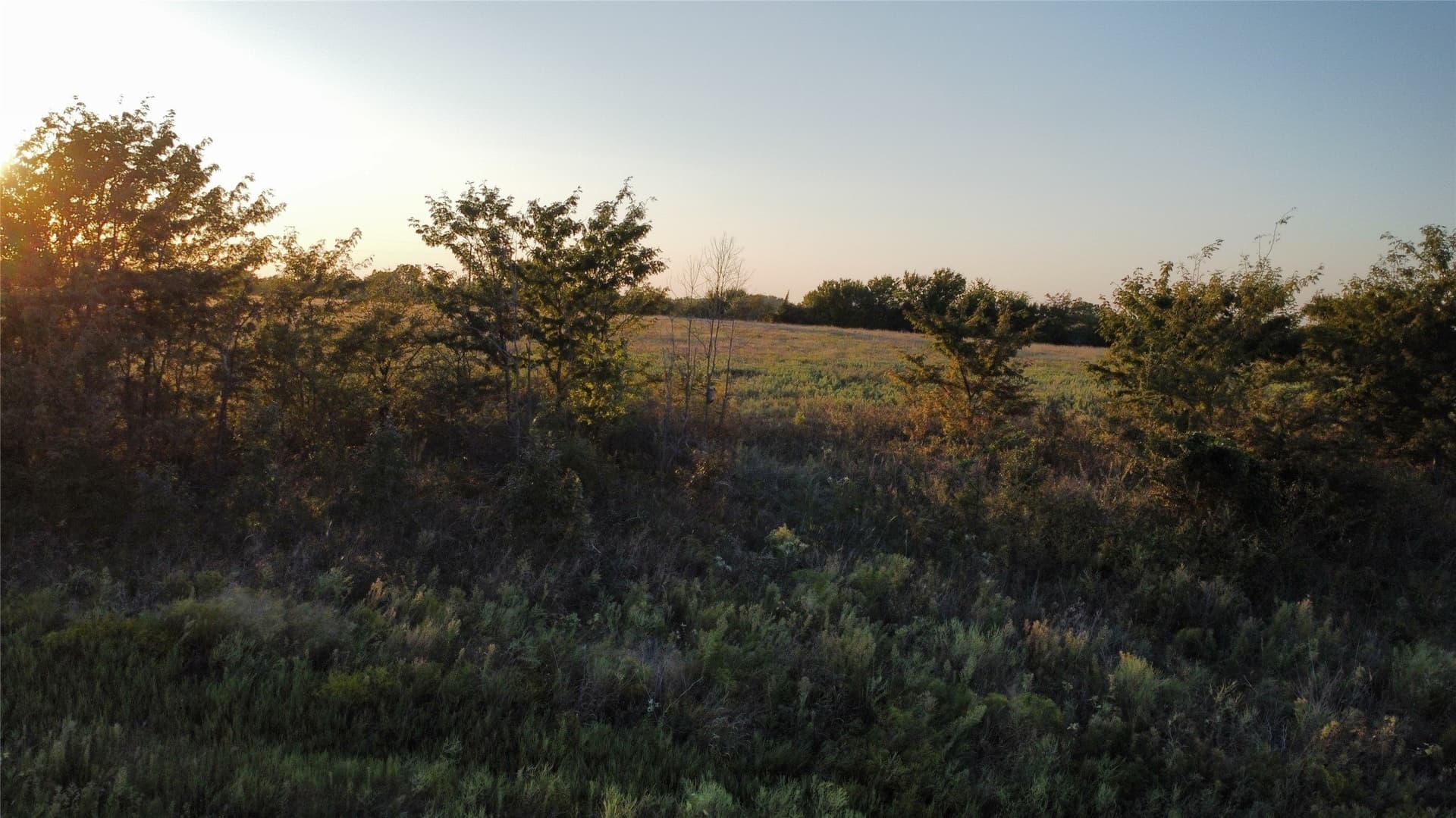 10.03 acres in Montague County gallery image 2