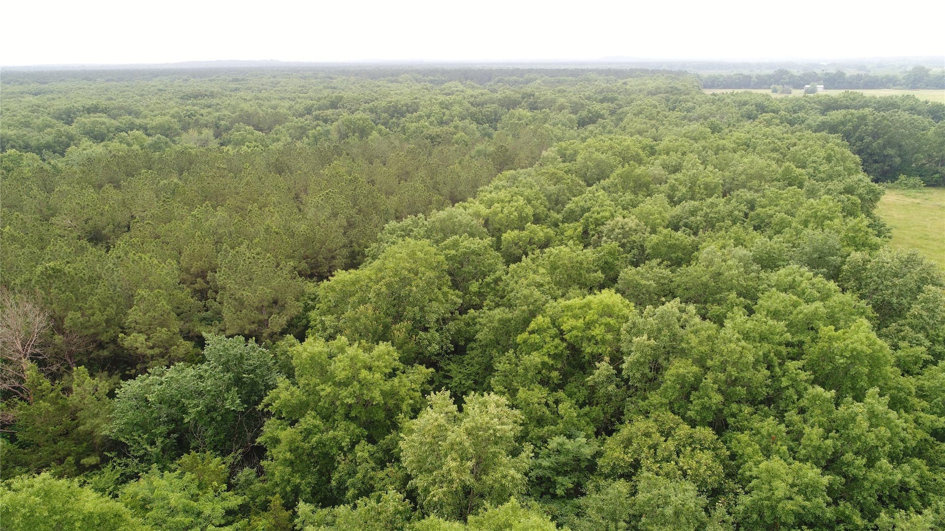 85.33 acres in Red River (TX) County featured view