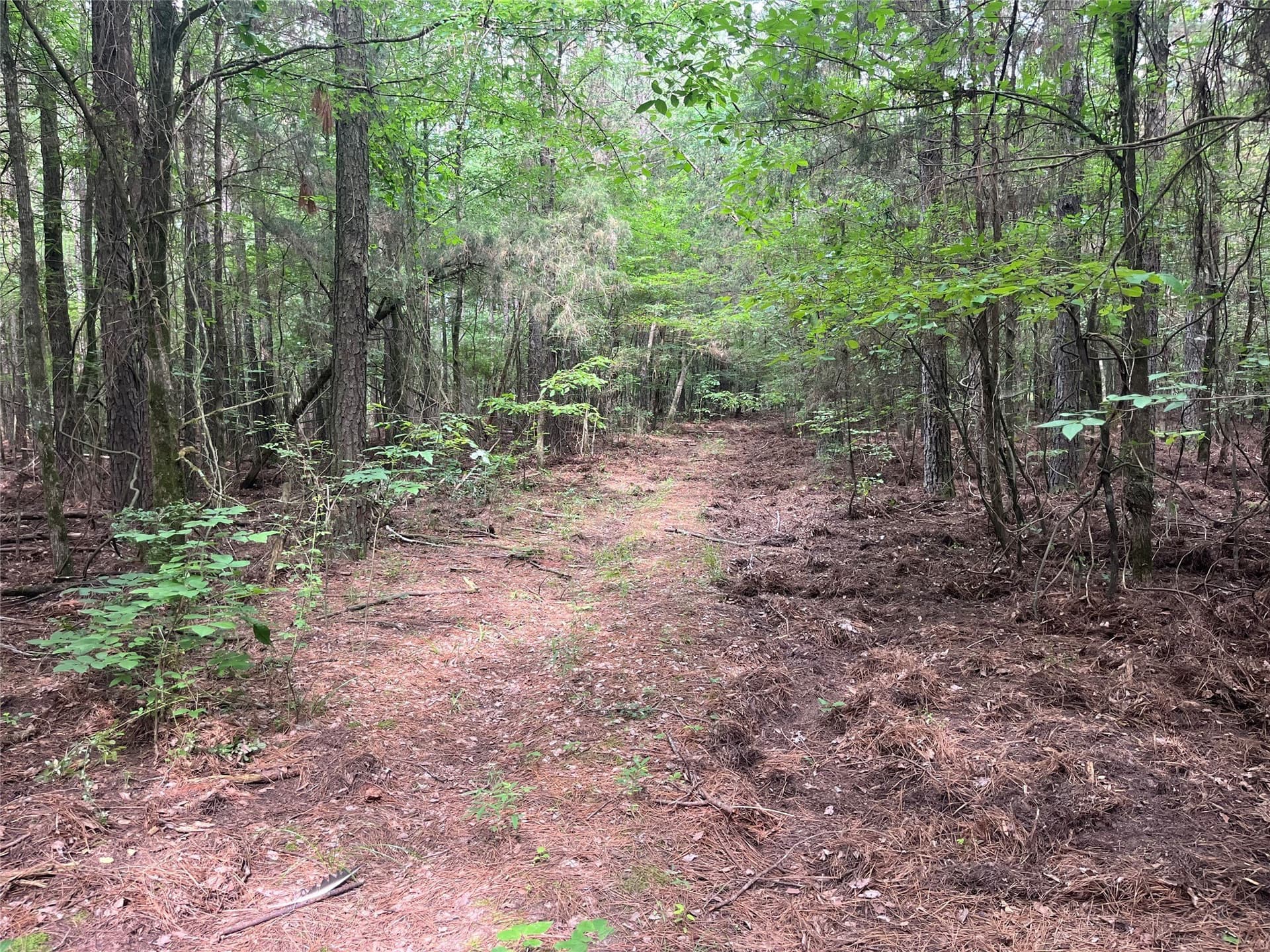 85.33 acres in Red River (TX) County - photo 11