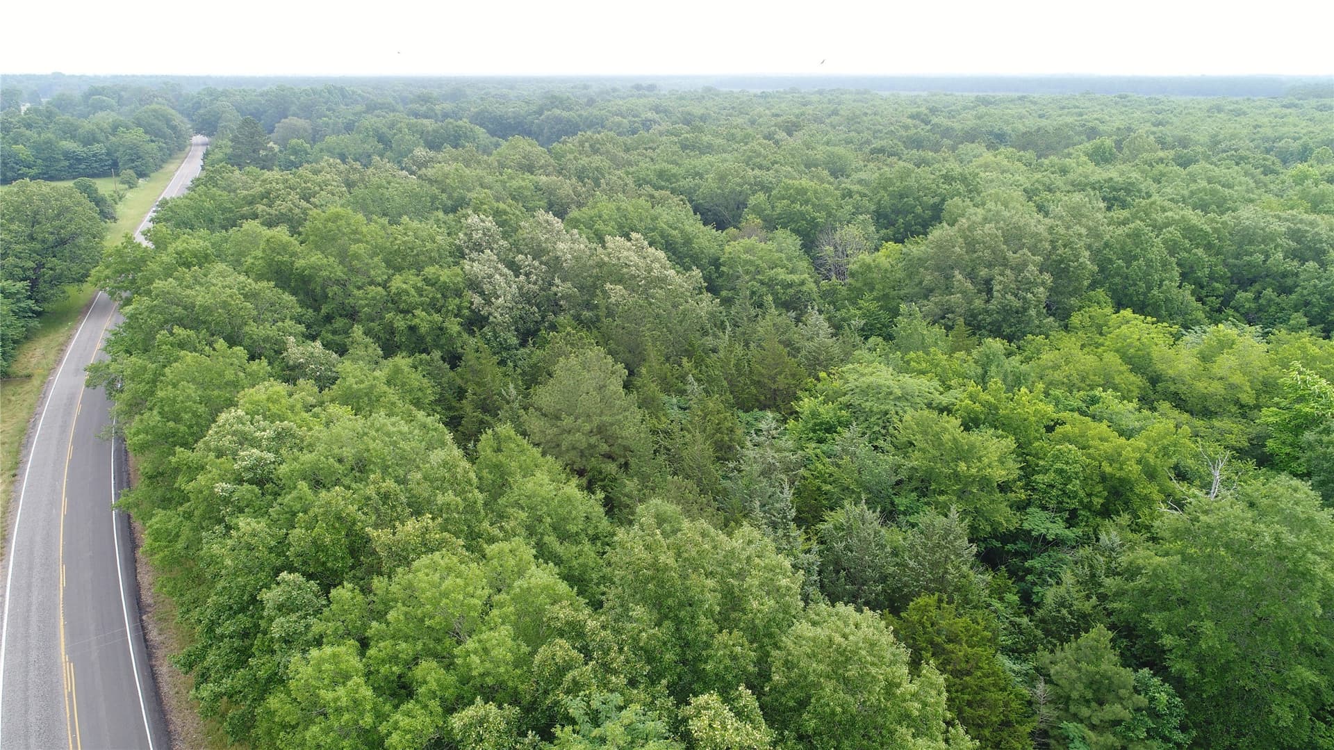 85.33 acres in Red River (TX) County gallery image 3