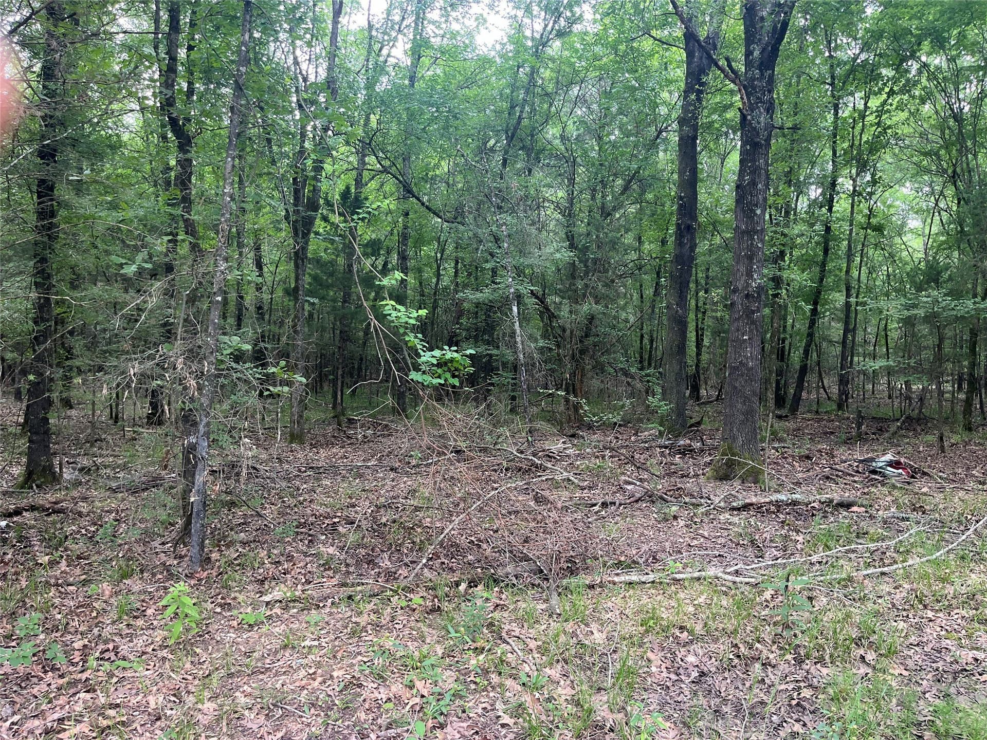 85.33 acres in Red River (TX) County - photo 7