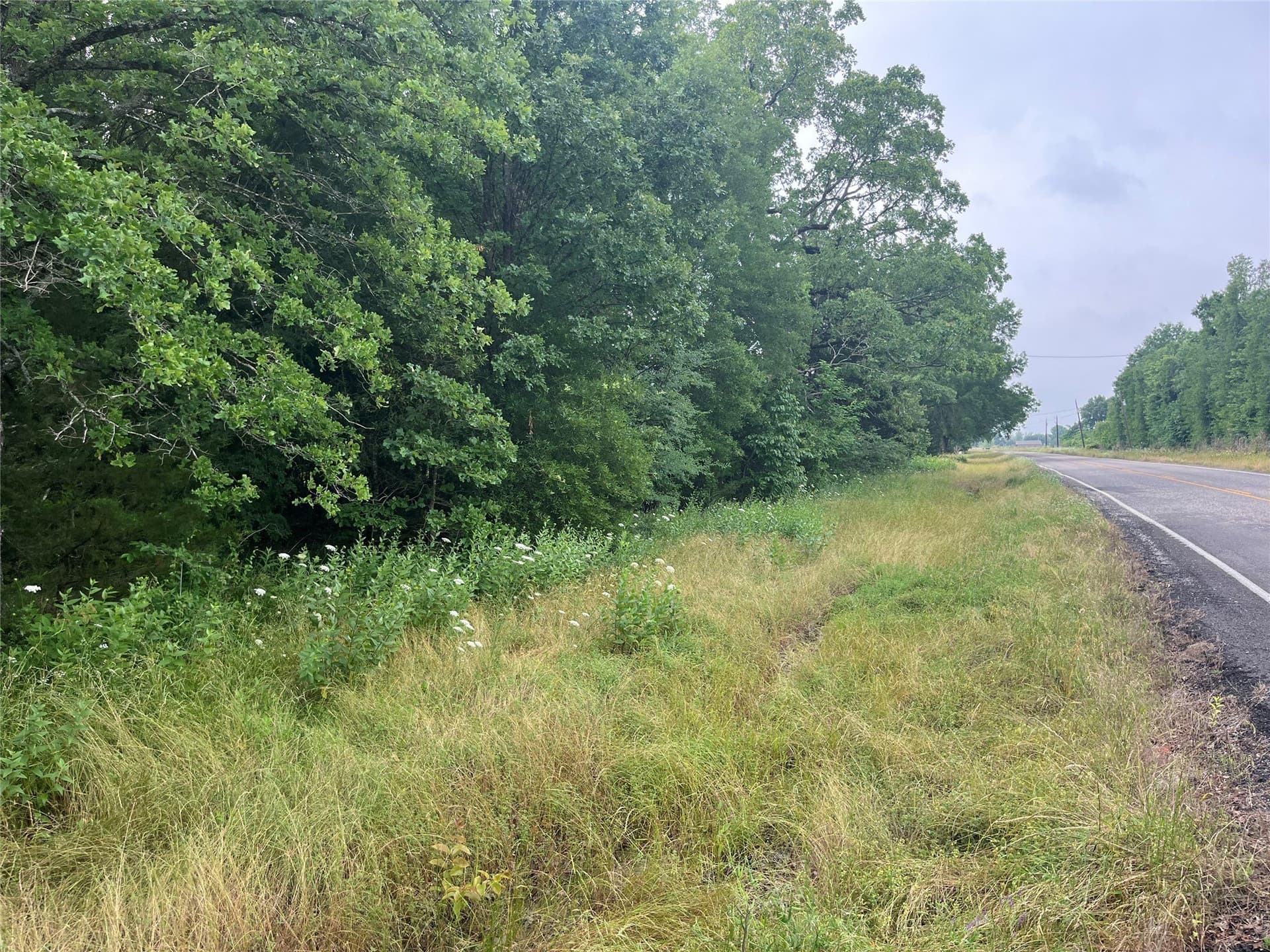 85.33 acres in Red River (TX) County - photo 6