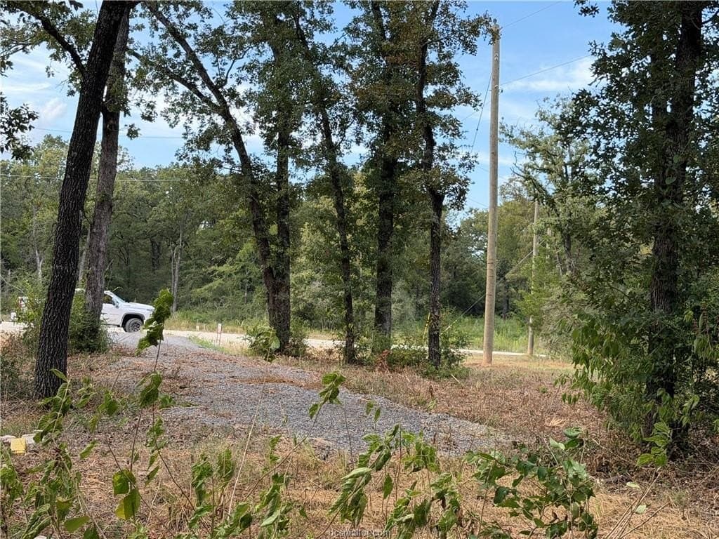 3 acres in Leon County - photo 47