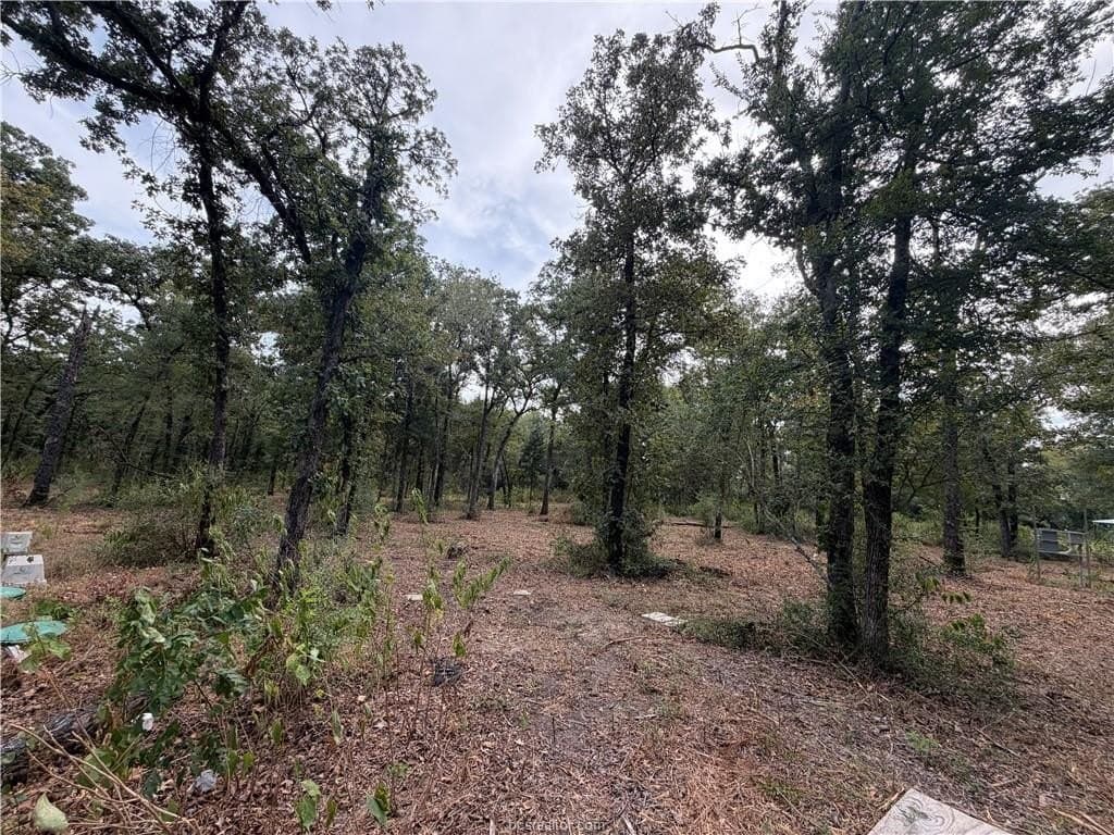 3 acres in Leon County - photo 27