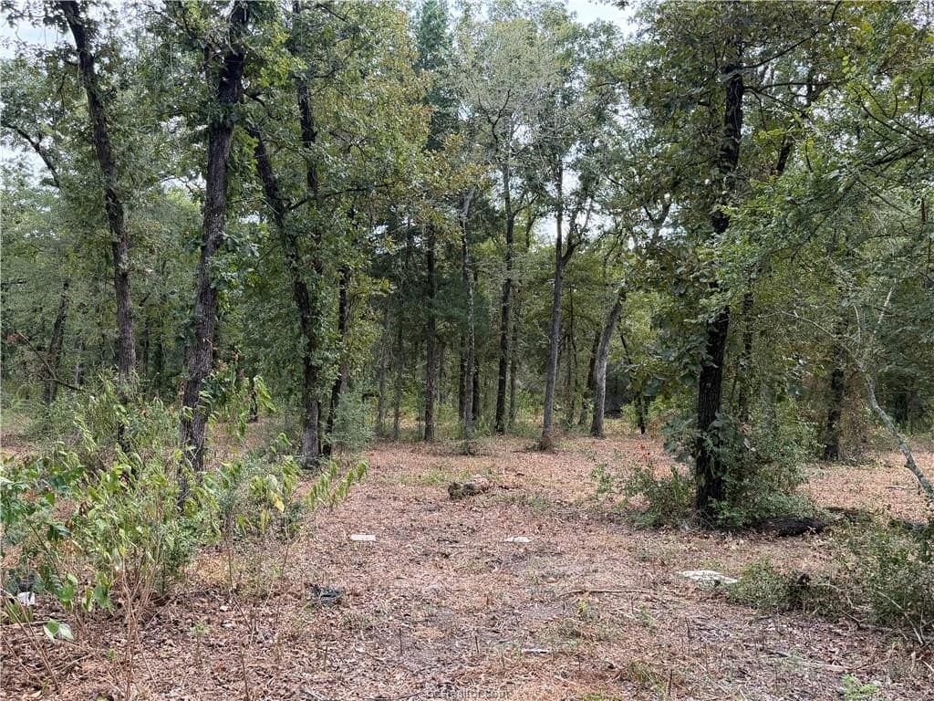 3 acres in Leon County - photo 41