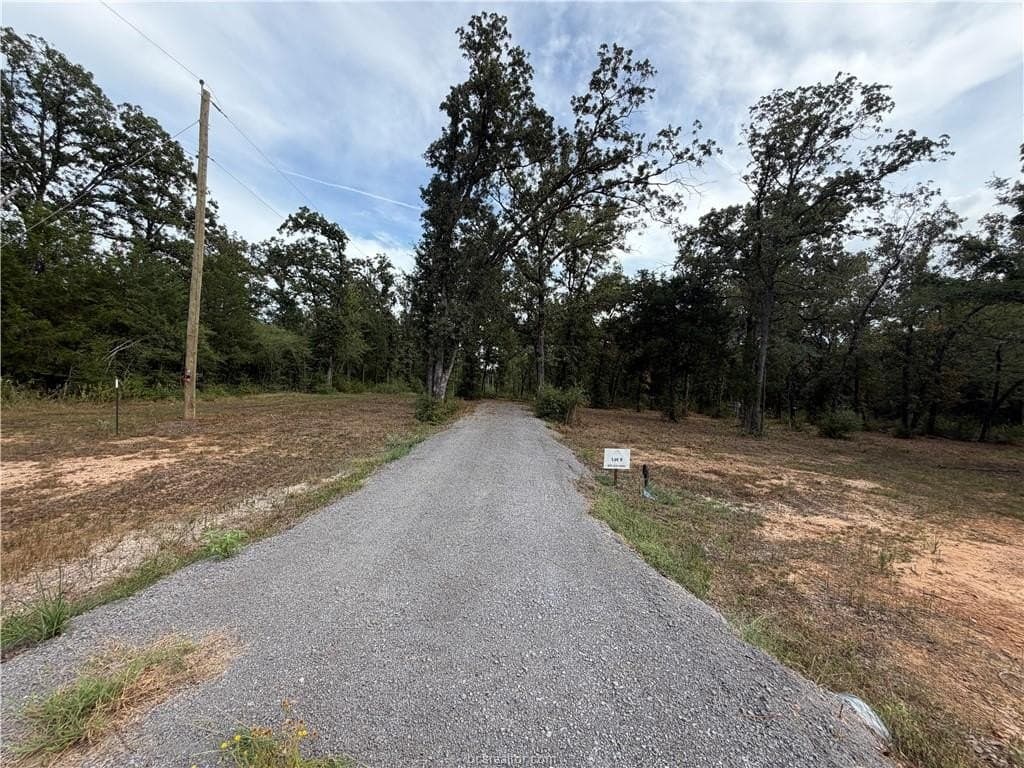 3 acres in Leon County - photo 19