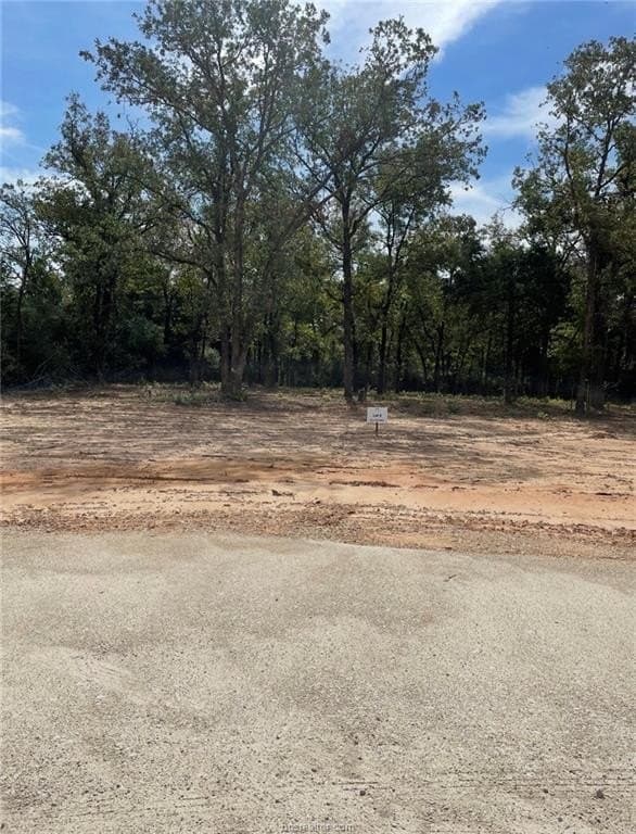 3 acres in Leon County - photo 14