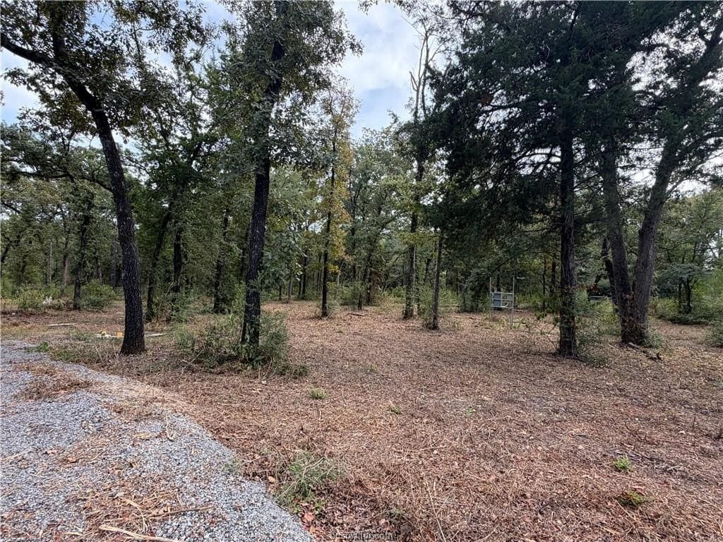 3 acres in Leon County - photo 22