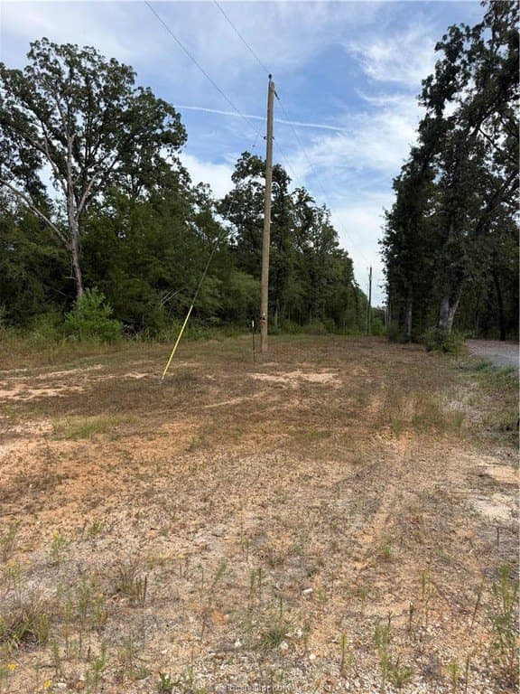 3 acres in Leon County - photo 17