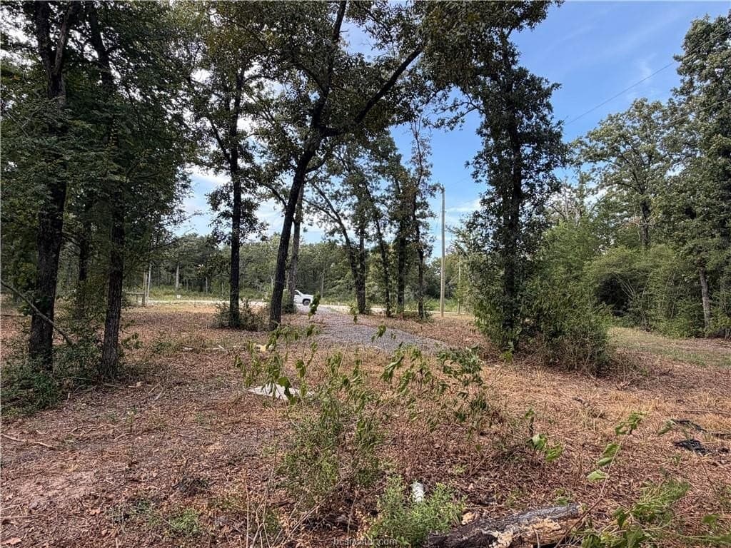 3 acres in Leon County - photo 29