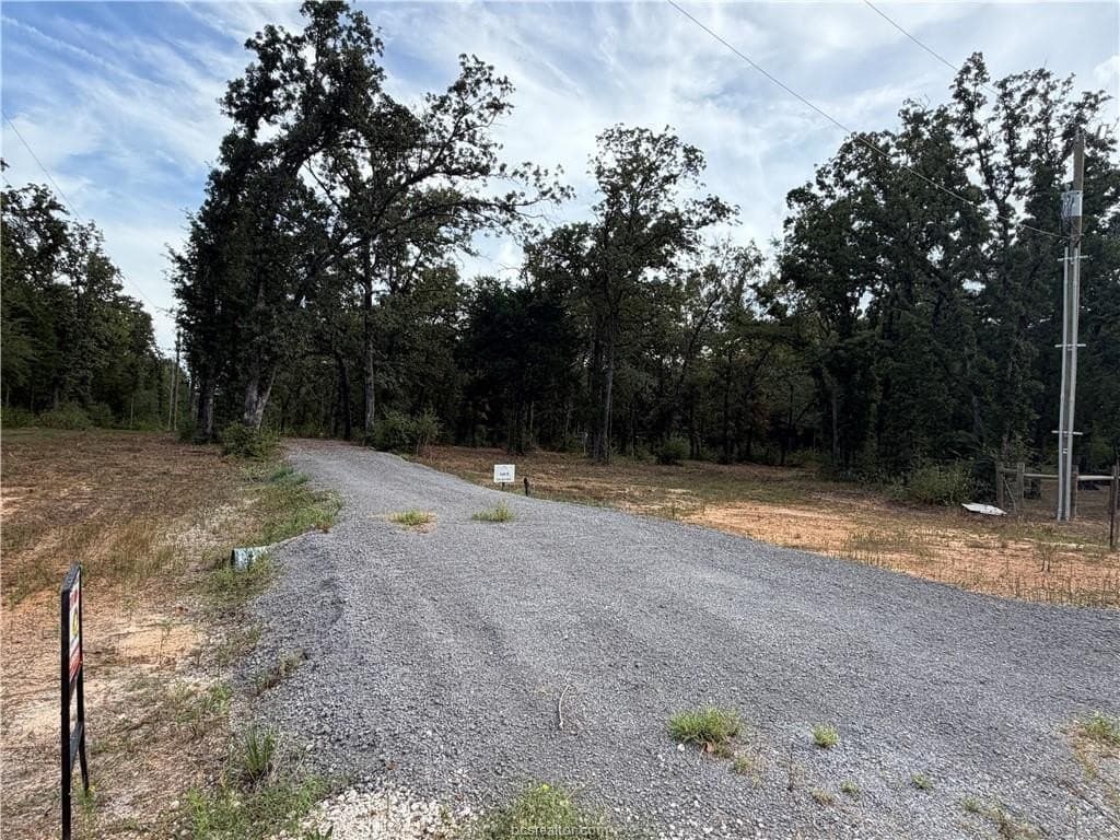 3 acres in Leon County - photo 48