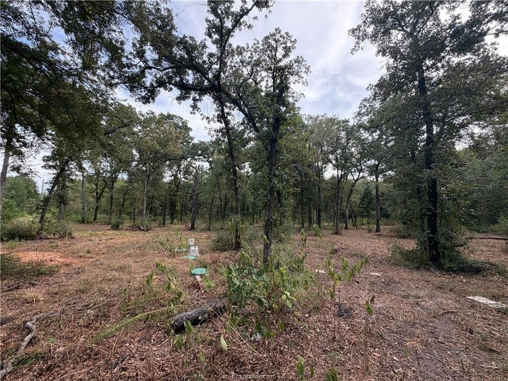 3 acres in Leon County - photo 44