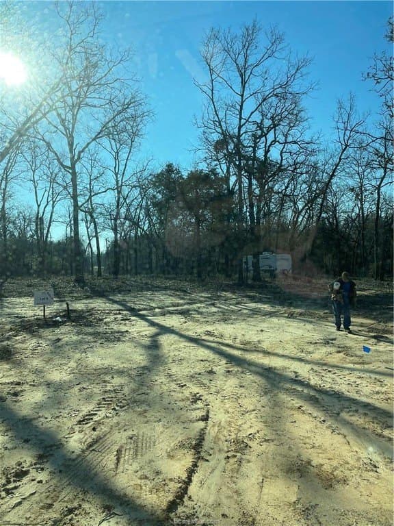 3 acres in Leon County - photo 11