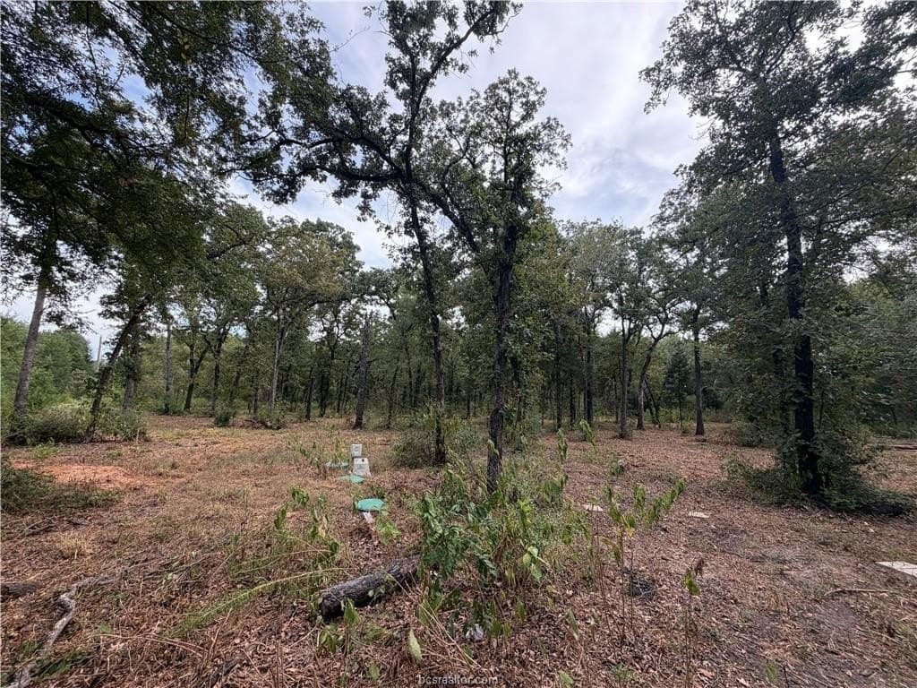 3 acres in Leon County - photo 45