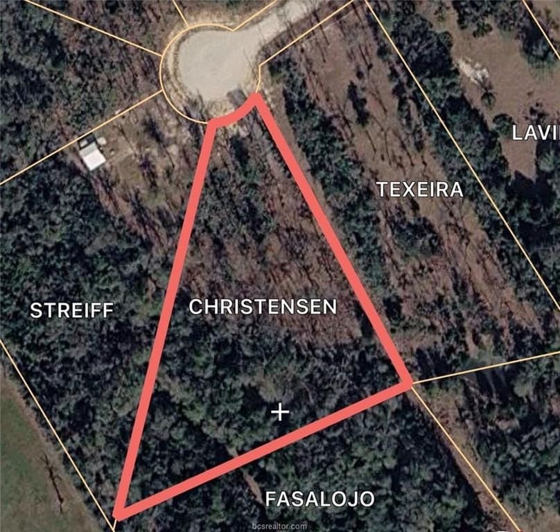 3 acres in Leon County gallery image 3