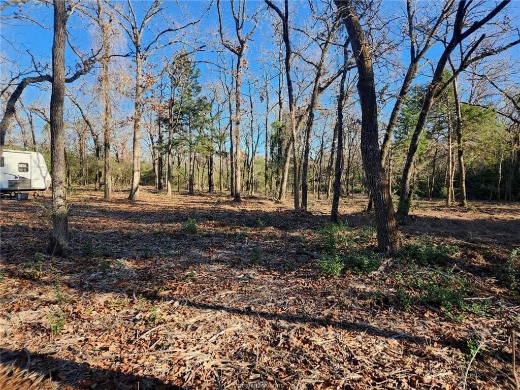 3 acres in Leon County - photo 15