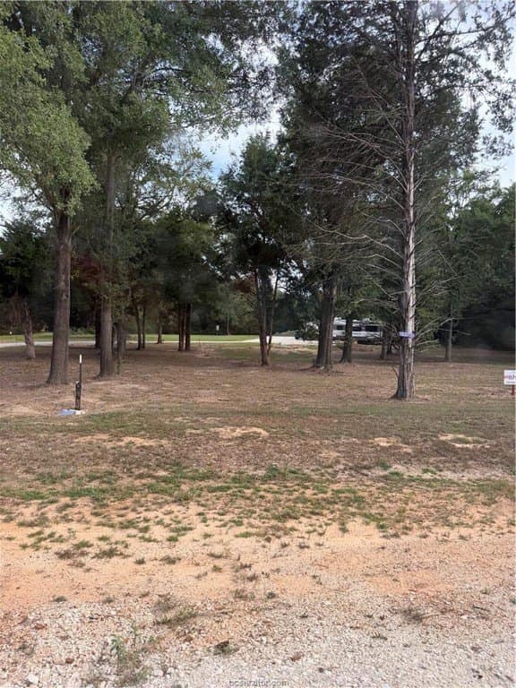3 acres in Leon County - photo 2