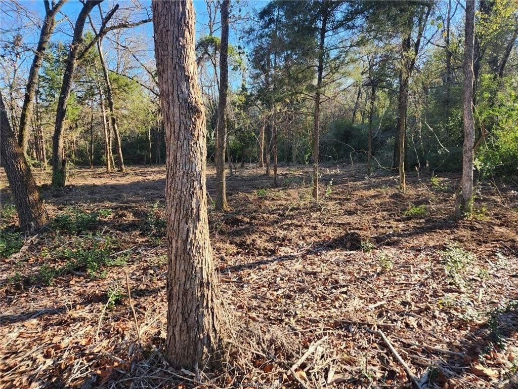 3 acres in Leon County - photo 10
