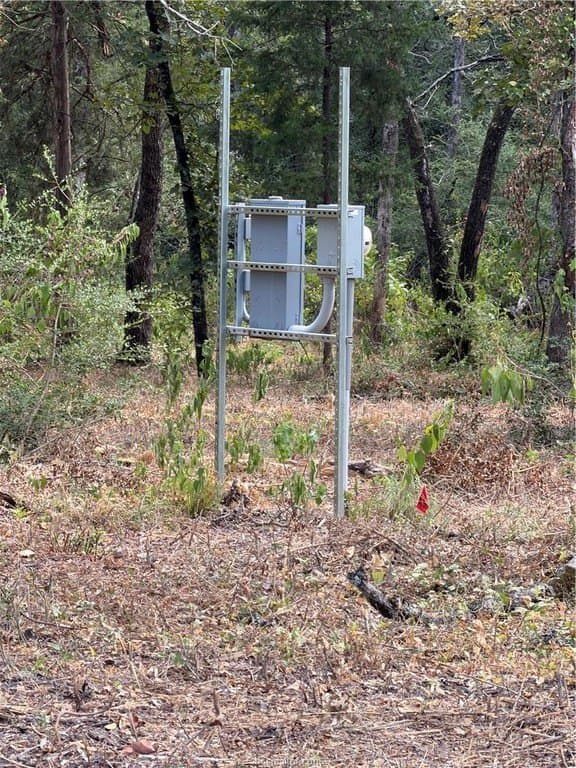 3 acres in Leon County - photo 21