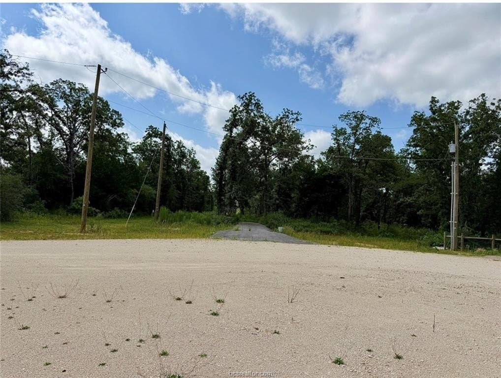 3 acres in Leon County gallery image 2