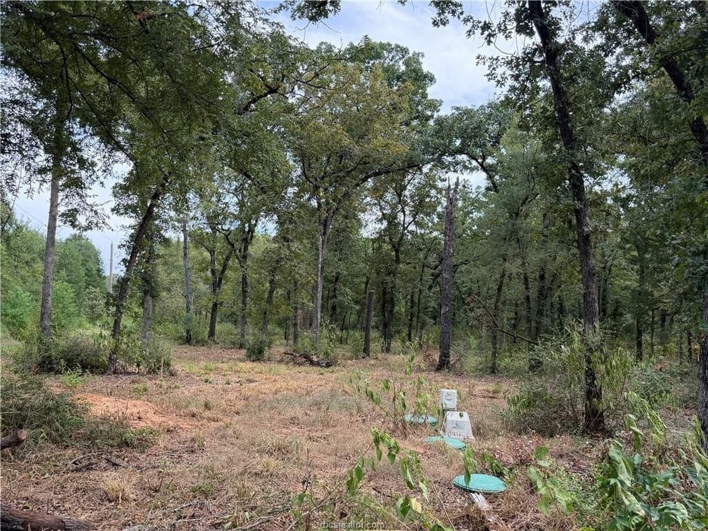 3 acres in Leon County - photo 43