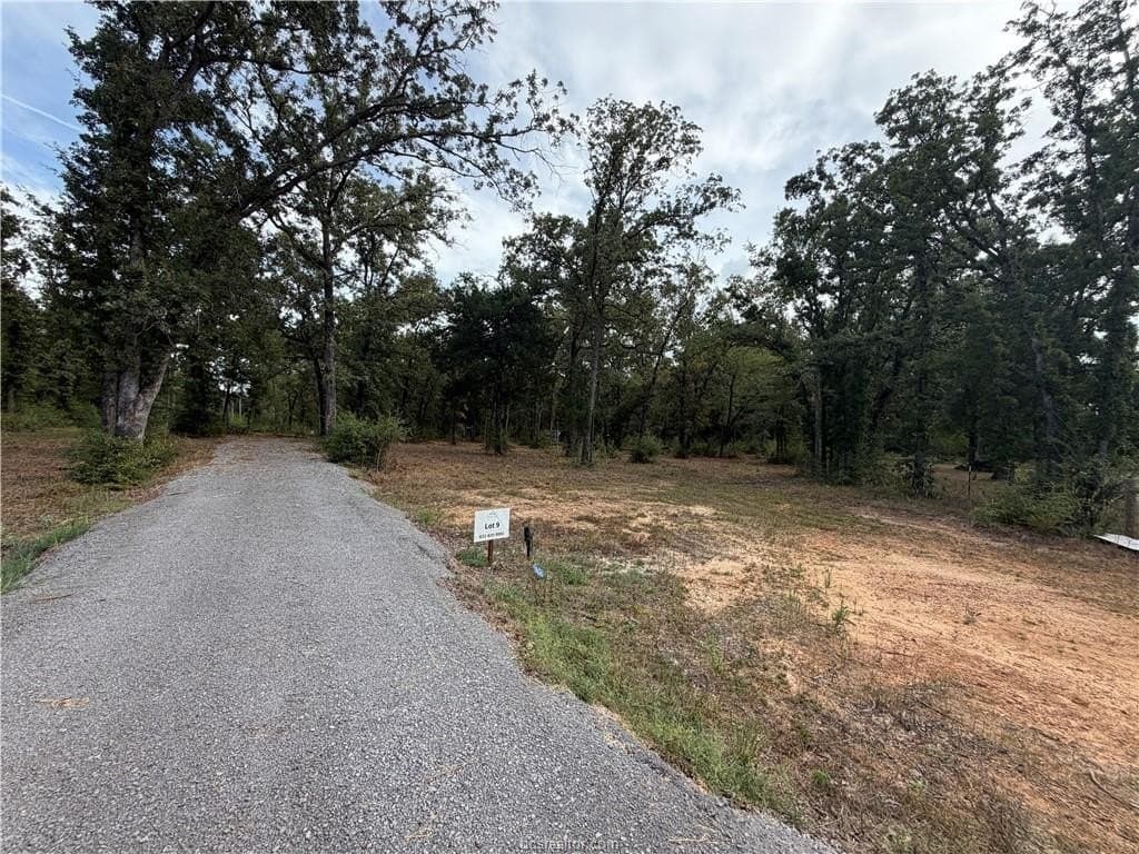 3 acres in Leon County - photo 37