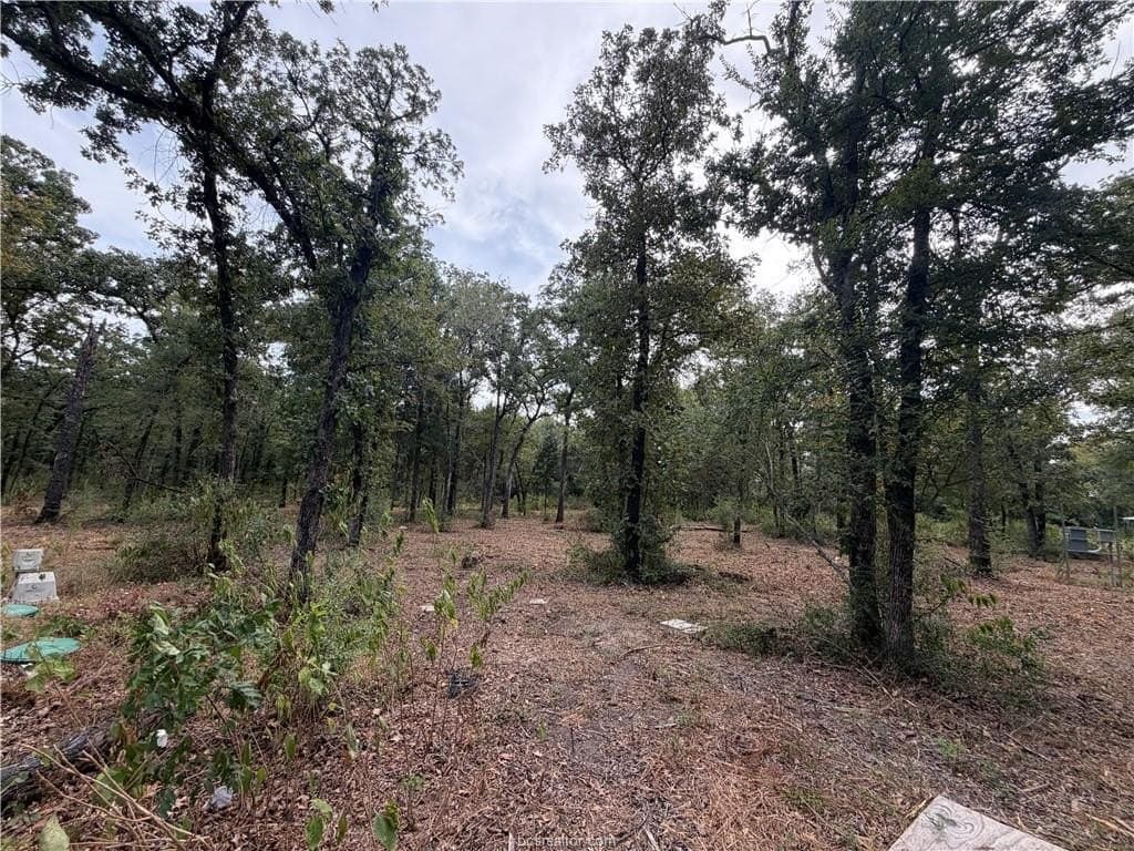 3 acres in Leon County - photo 46