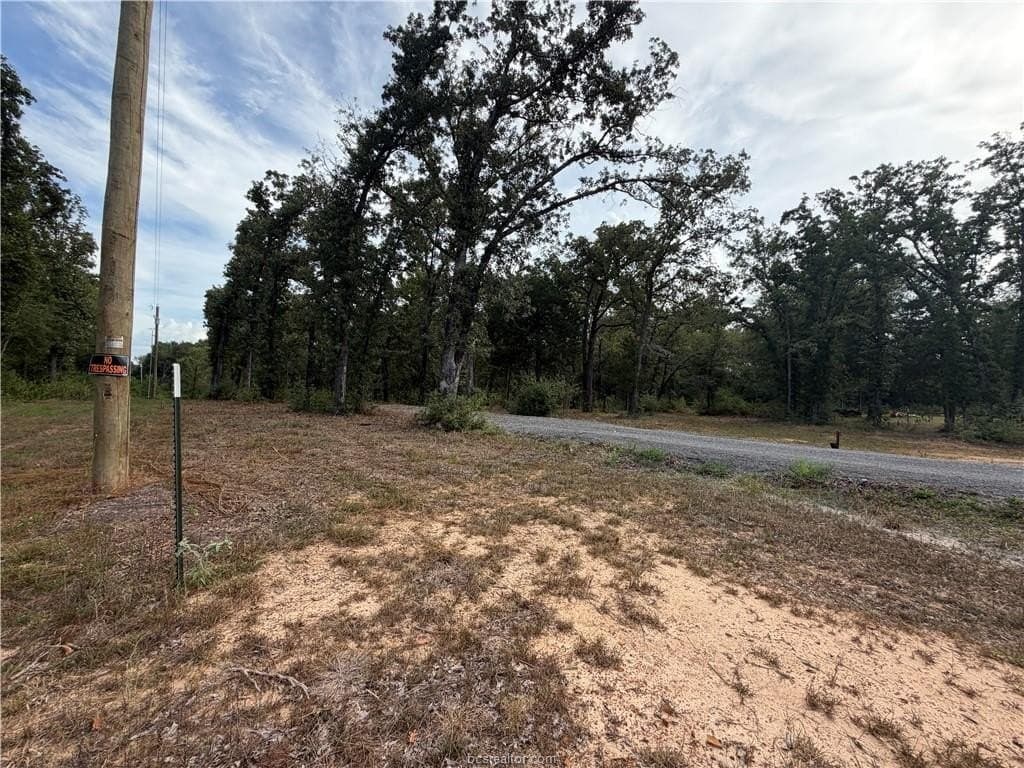 3 acres in Leon County - photo 31