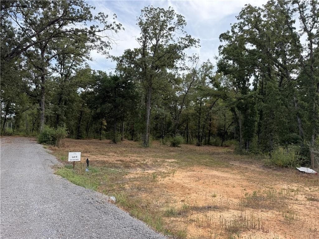 3 acres in Leon County - photo 36