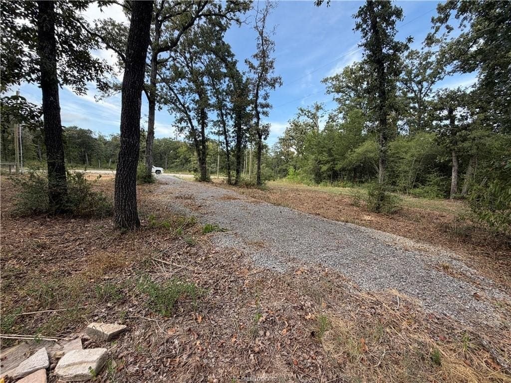 3 acres in Leon County - photo 30
