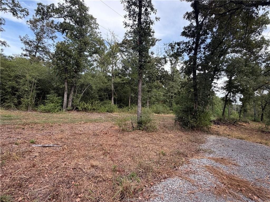 3 acres in Leon County - photo 23