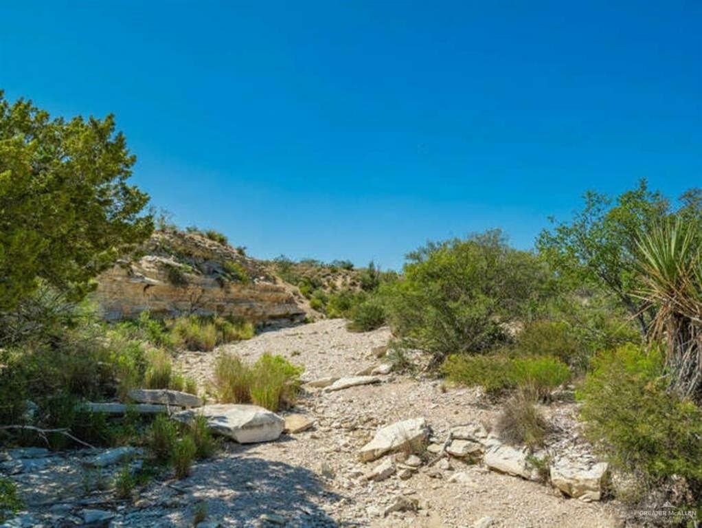 98.69 acres in Terrell County gallery image 2