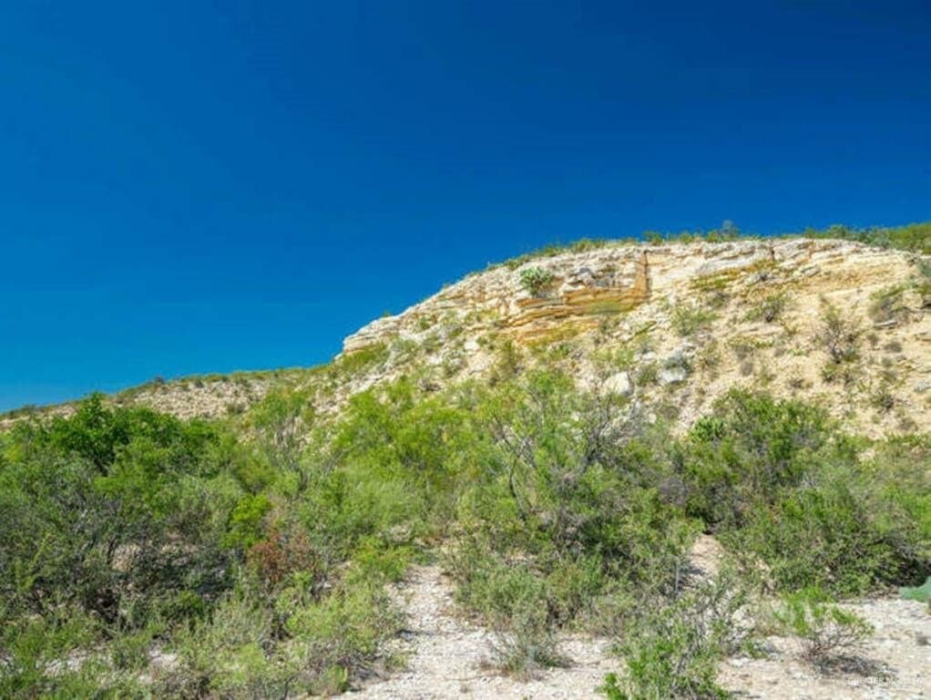 98.69 acres in Terrell County gallery image 3