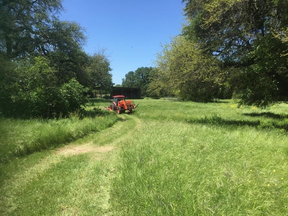 242.81 acres in Somervell County - photo 37