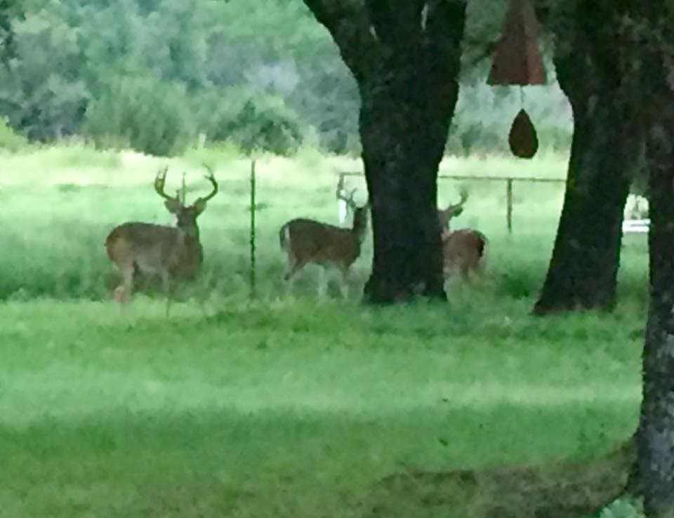 242.81 acres in Somervell County - photo 34