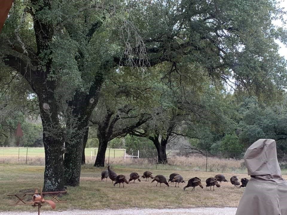 242.81 acres in Somervell County - photo 35
