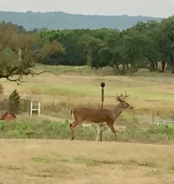 242.81 acres in Somervell County - photo 36