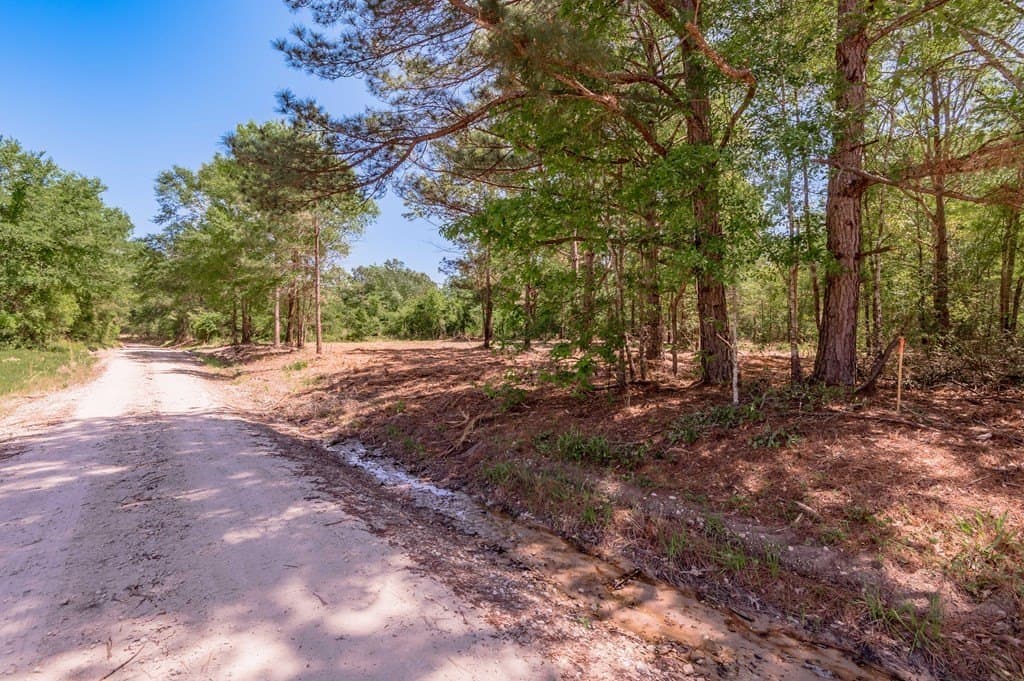 1.32 acres in HOUSTON County - photo 12