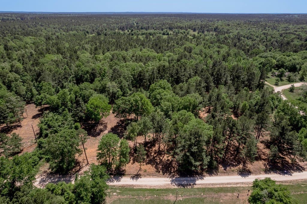 1.32 acres in HOUSTON County - photo 13