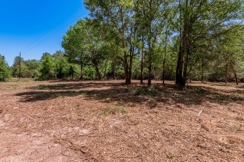 1.32 acres in HOUSTON County - photo 8