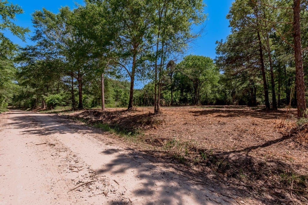 1.32 acres in HOUSTON County - photo 10