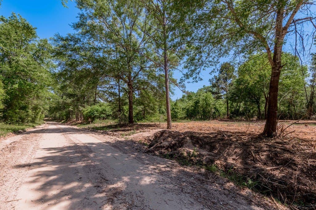 1.32 acres in HOUSTON County gallery image 3