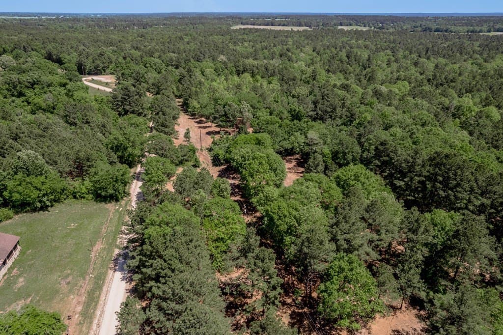 1.32 acres in HOUSTON County - photo 19