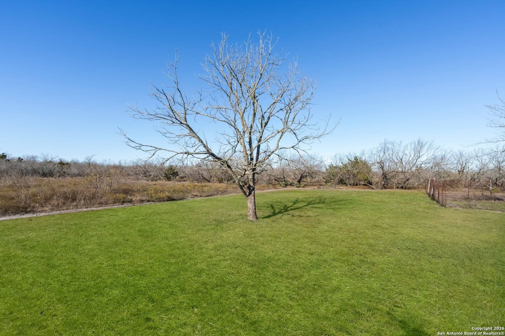 20 acres in Travis County - photo 29