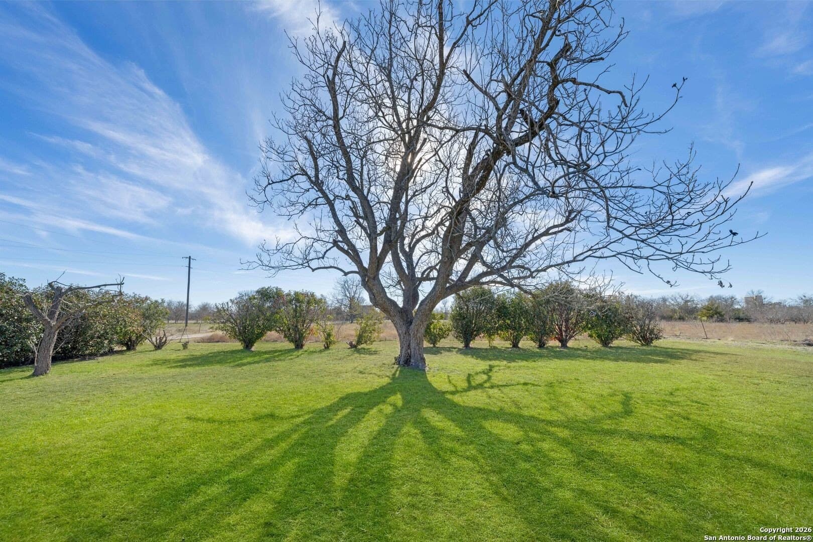 20 acres in Travis County - photo 28