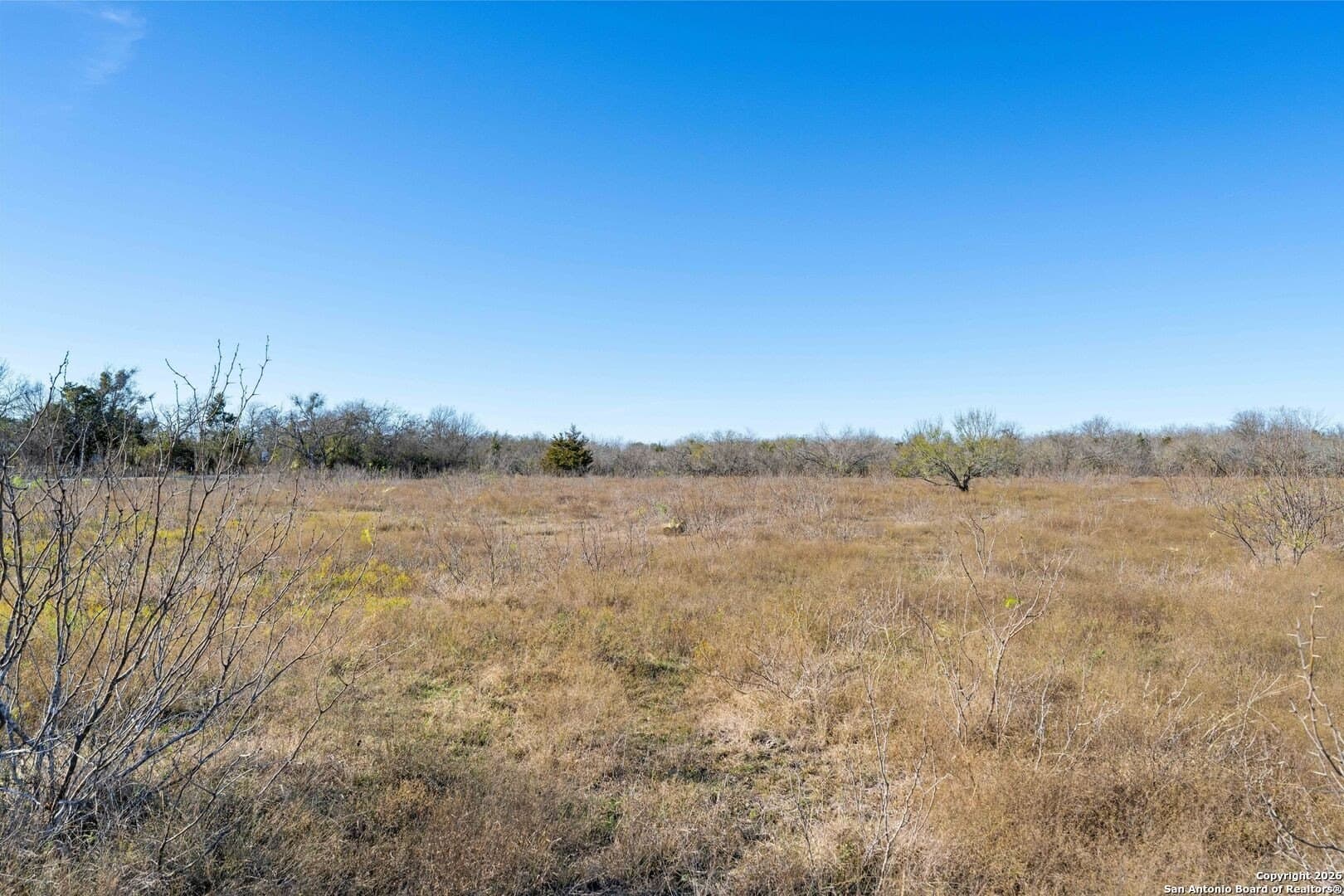 20 acres in Travis County - photo 31