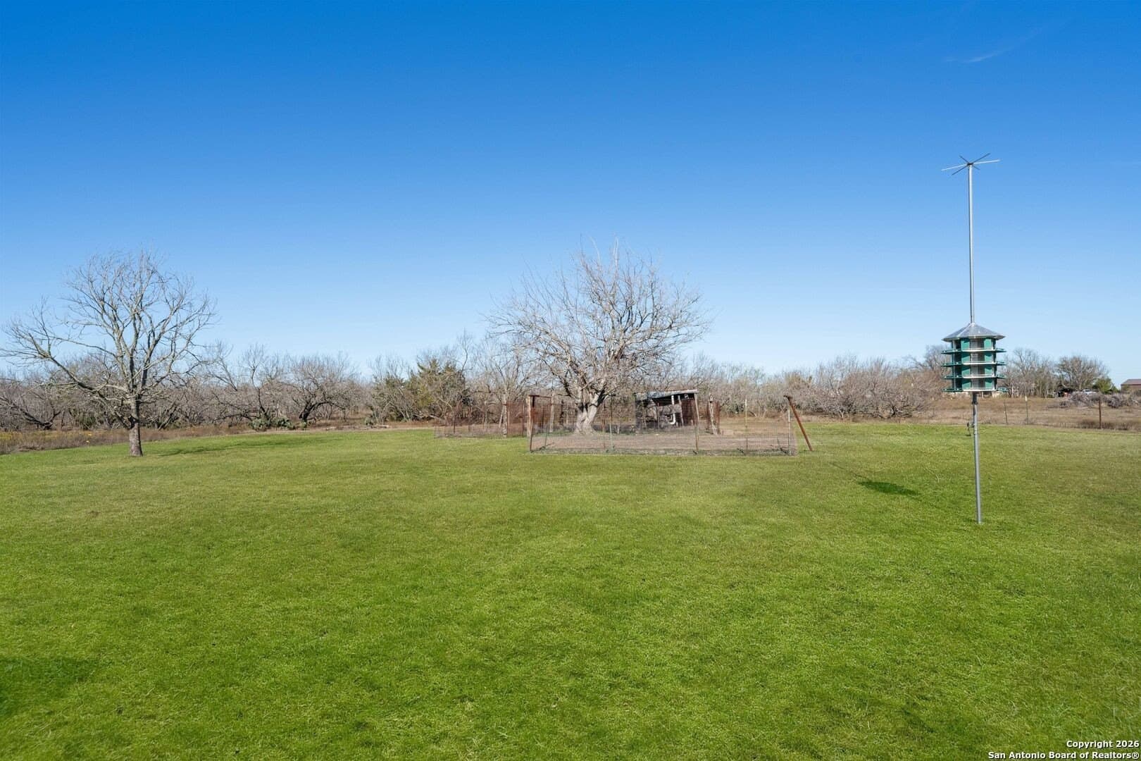 20 acres in Travis County - photo 30