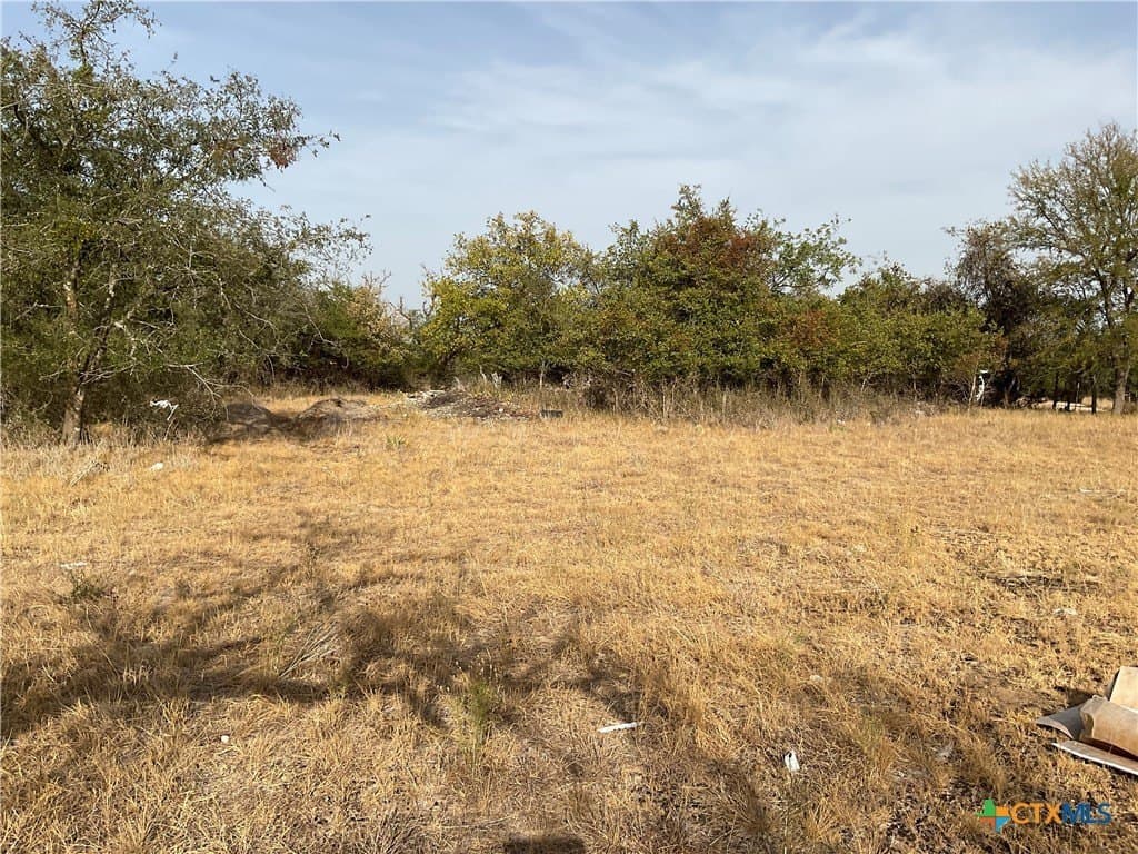 88 acres in Burnet County gallery image 3